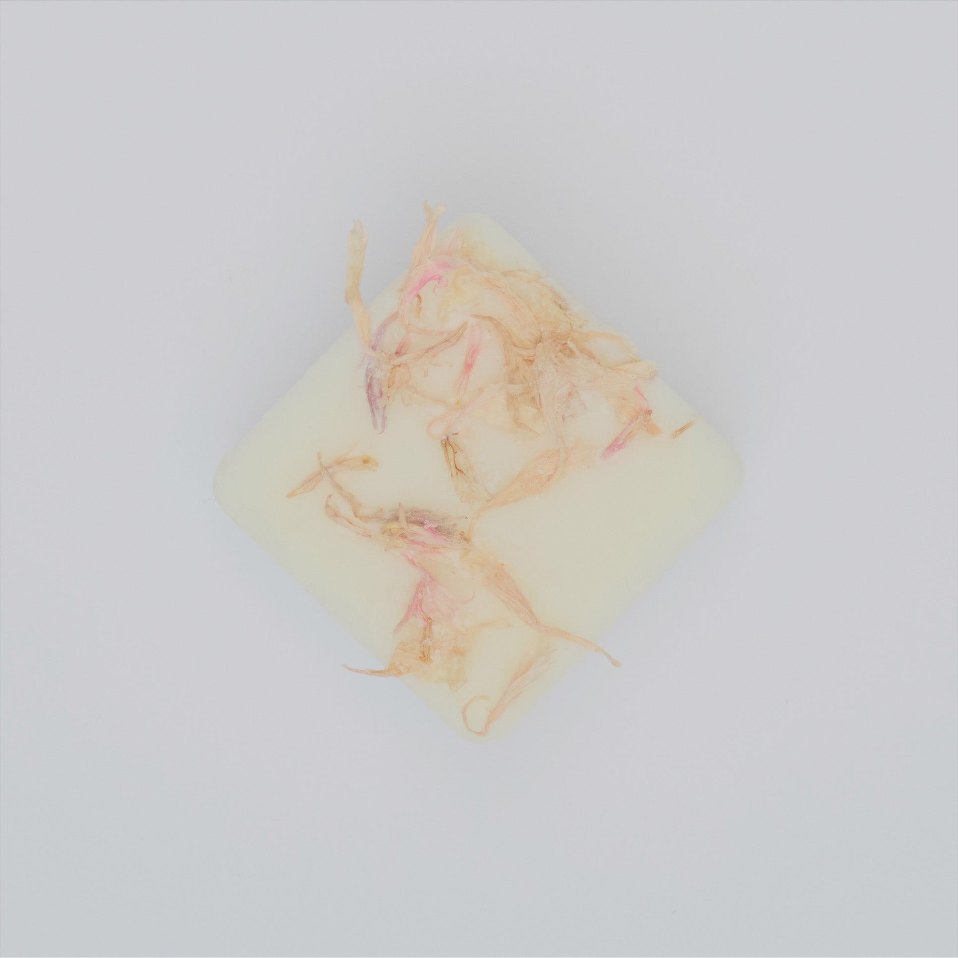 Ambrette & Hibiscus Wax Melt Sample