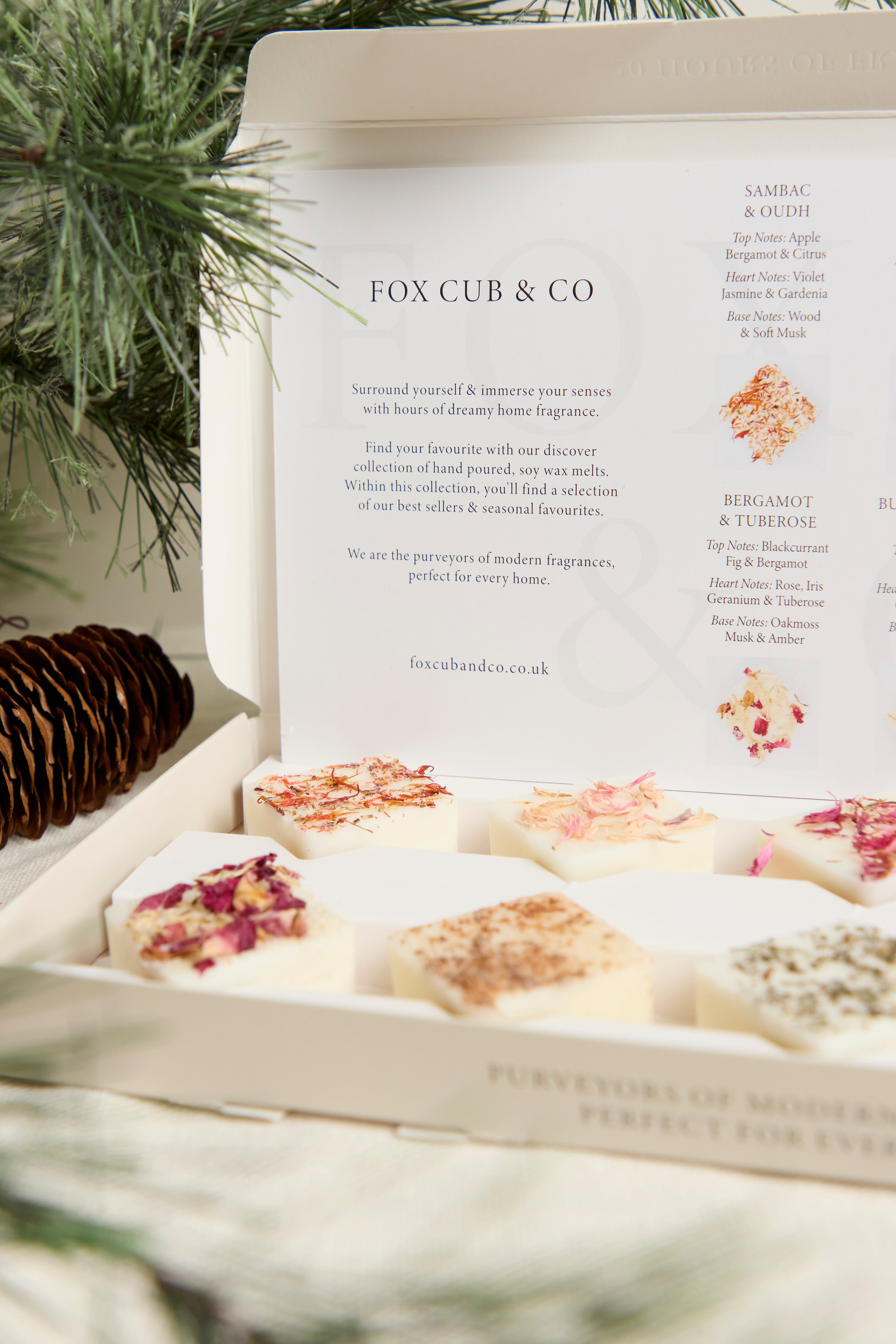 'Discover the Collection'