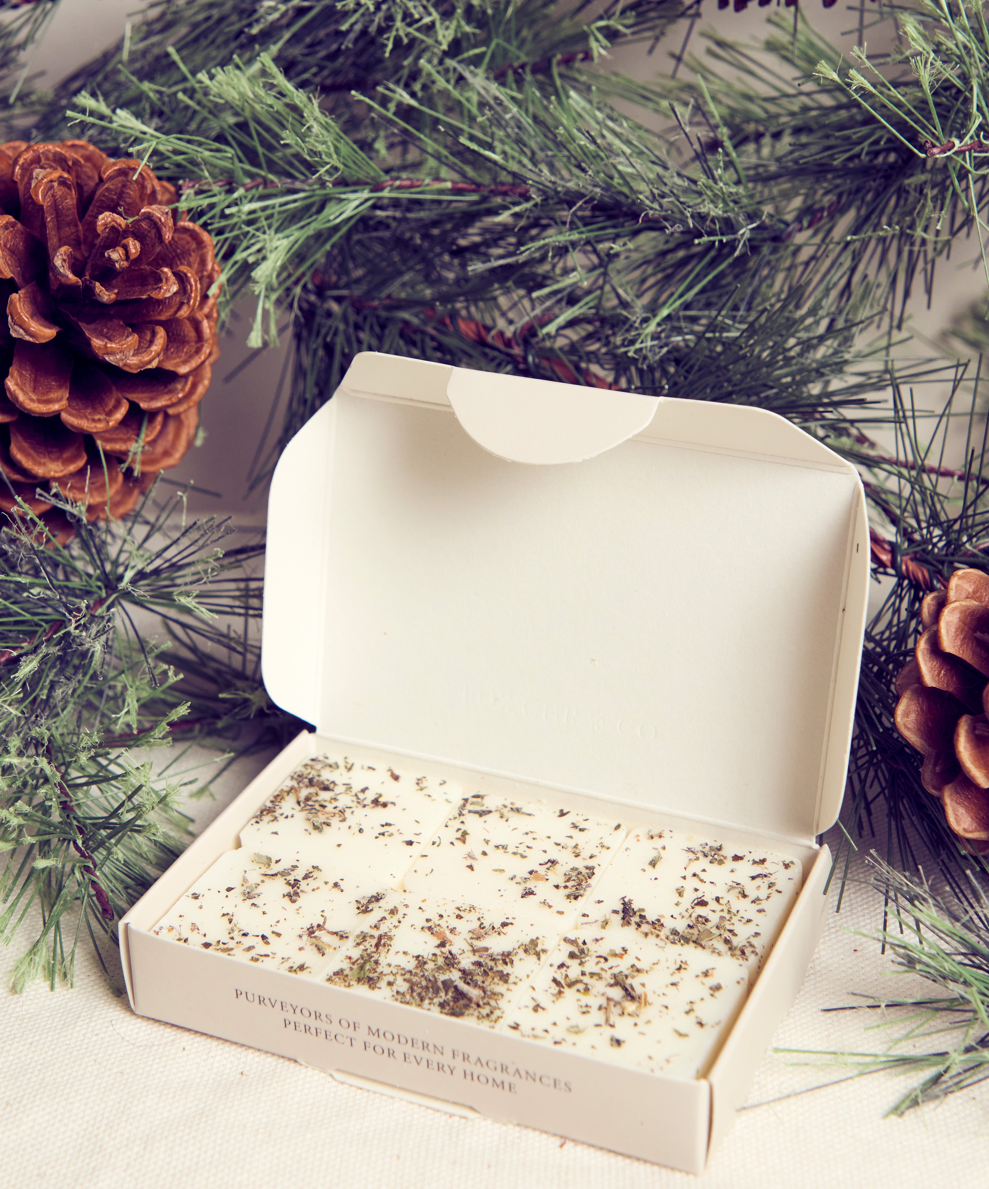 Pine, Mint & Eucalyptus Wax Melts